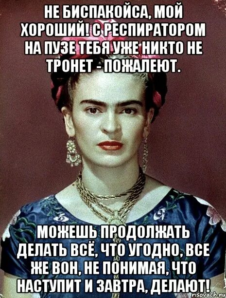 Готова на что угодно все попросят. Юмор про рукодельниц в картинках. Хитрые коты с надписями. Делаю что хочу картинки. Здесь в этом мире ты можешь быть кем пожелаешь.