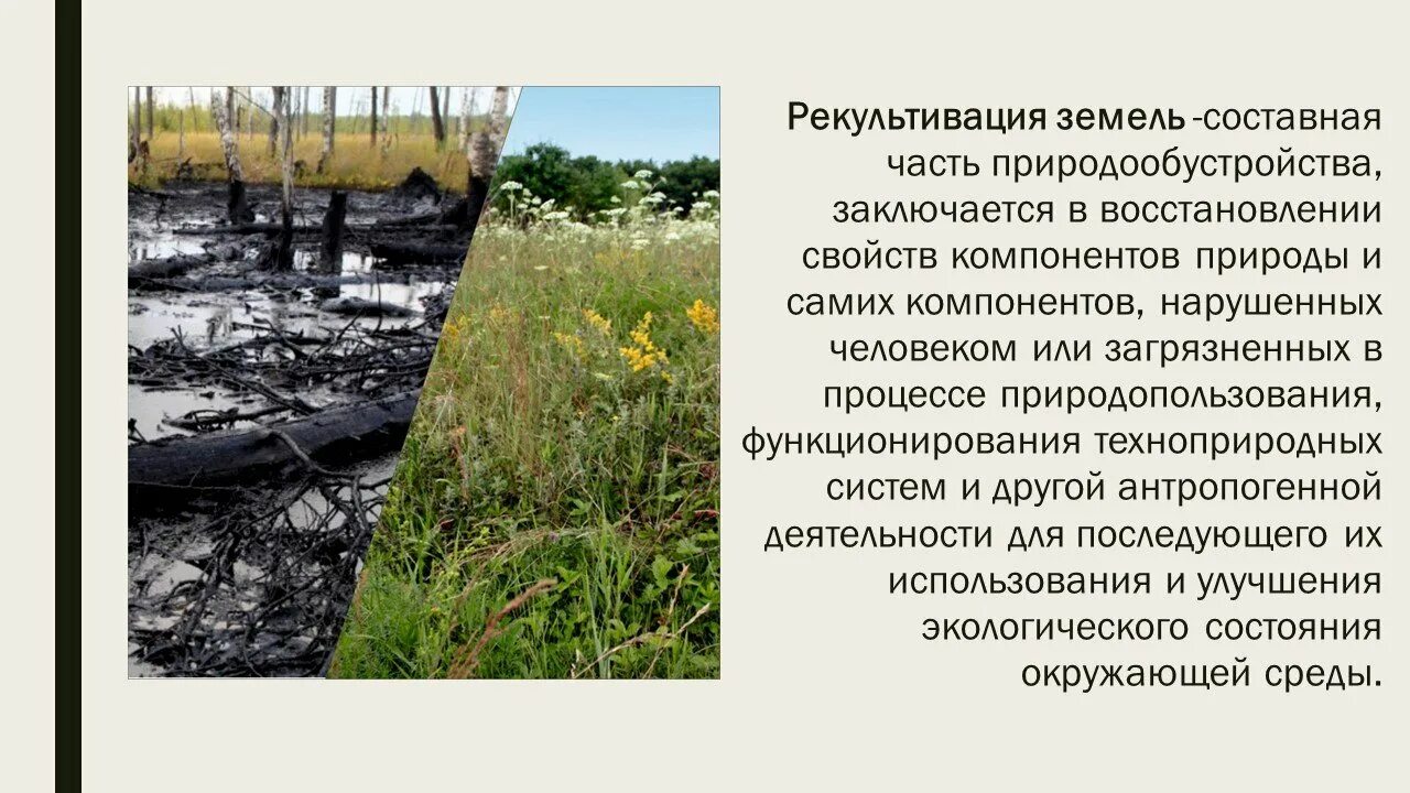 Использование нарушенных земель. Рекультивация сельскохозяйственных земель. Снижение плодородия почв. Восстановление нарушенных земель. Принципы рекультивации.