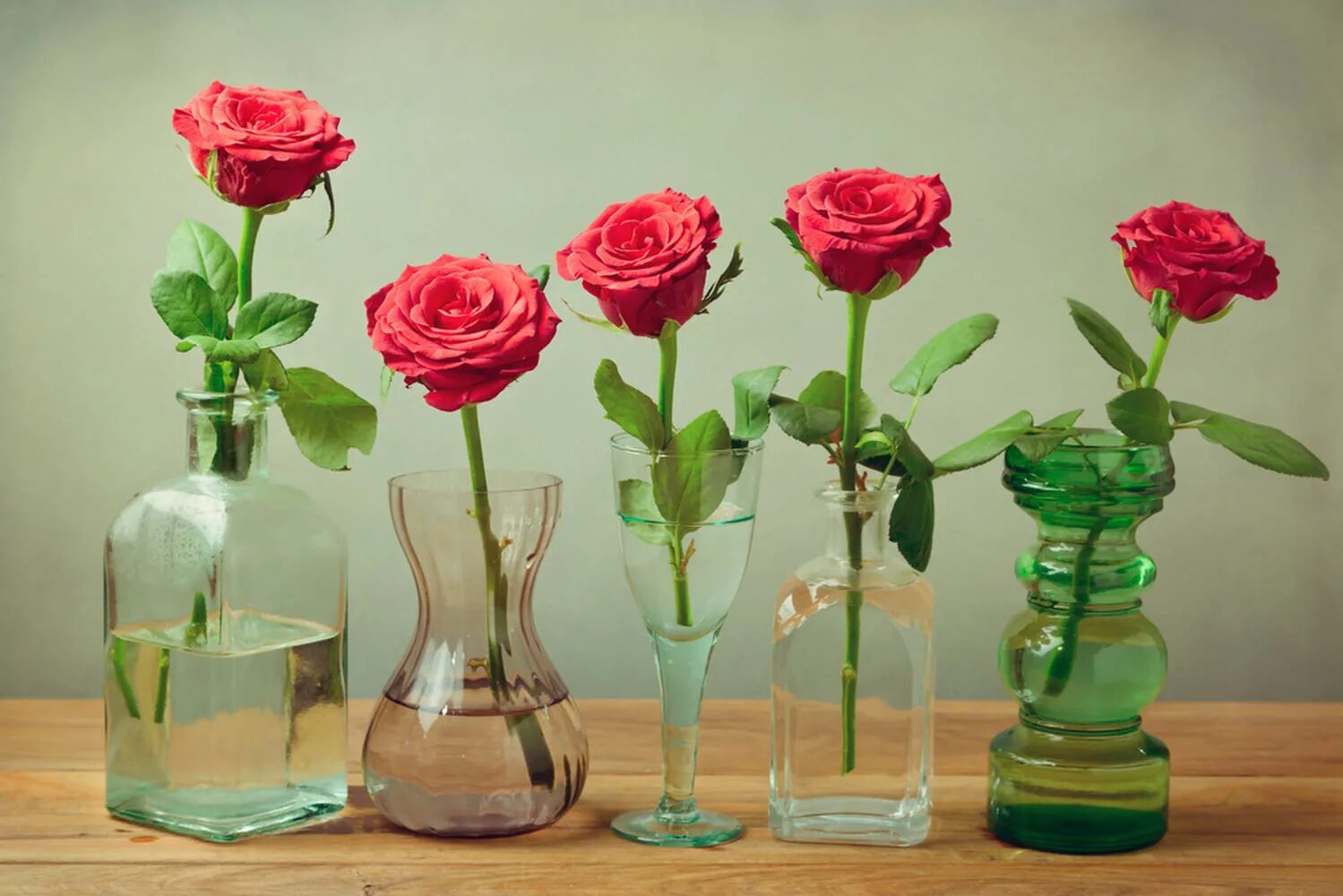 Вторая жизнь розам. Цветы в вазе. Розы в вазе. Цветочки в вазе. Цветочные вазы.