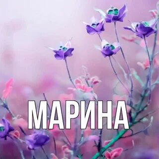 Все к марине