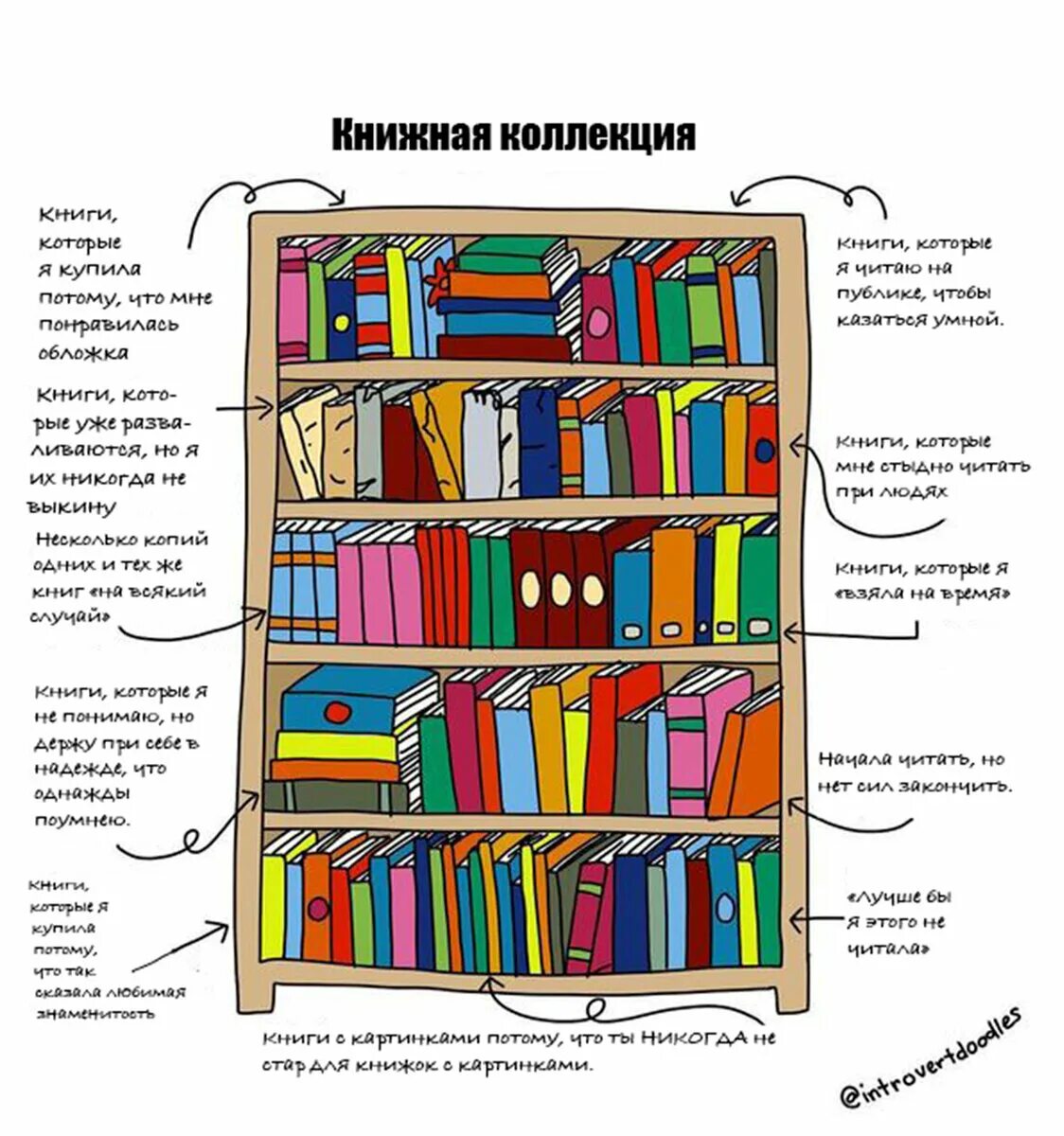 Какую книгу называют книга книг. Разновидности книг. Виды и типы книг. Книги бывают разные.