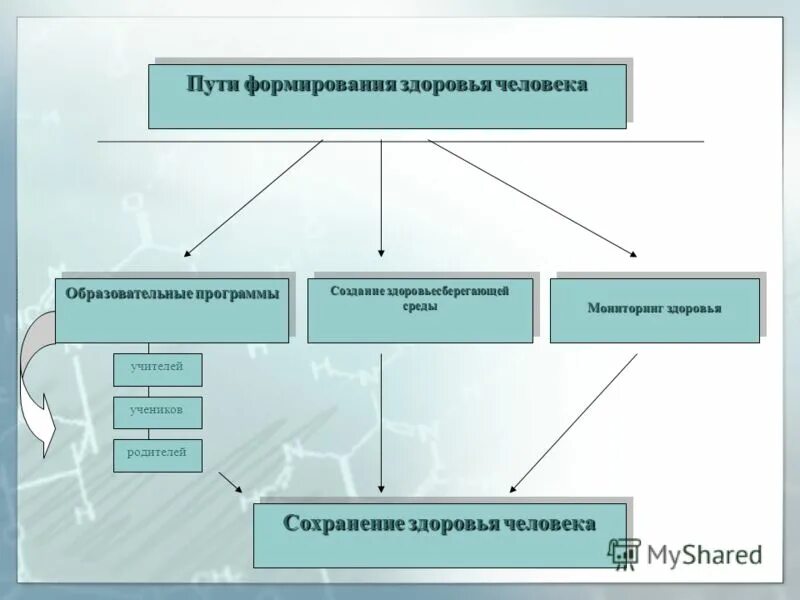 основные принципы формирования здоровья