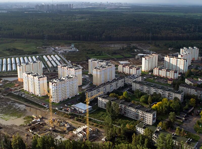 Парголово выборгское шоссе. Пос парголово спб. Поселок парголово. Пос парголово санкт-петербург. Парголово улица первого мая.
