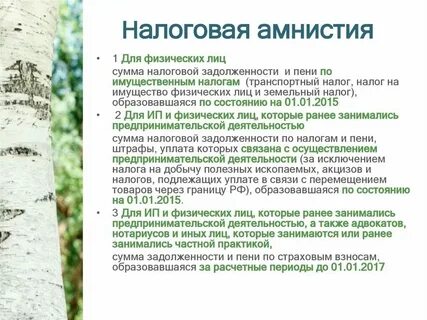 Амнистия по транспортному налогу для физических лиц