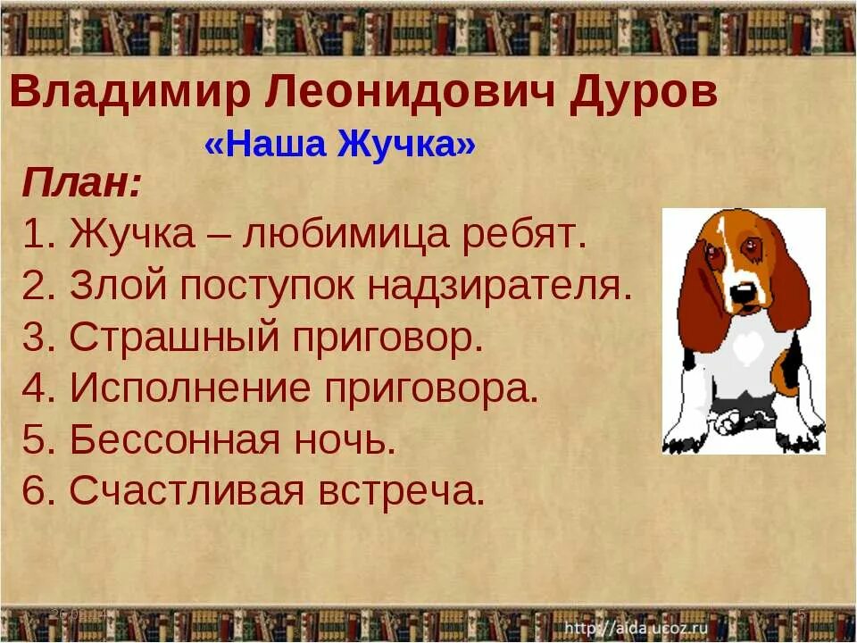 План по рассказу наша жучка в.Дуров. План рассказа Дурова наша жучка. Дуров наша жучка план. Рассказ дурова наша жучка