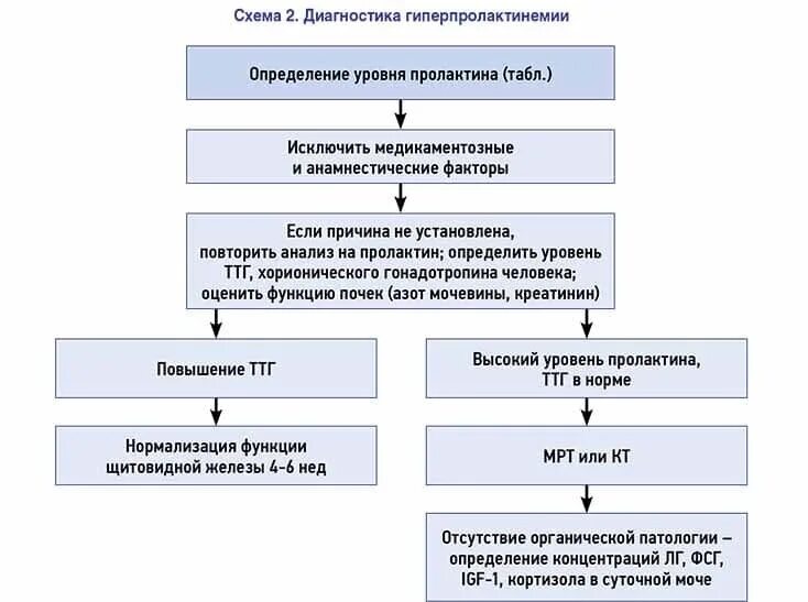 Пролактин вызывает. Патогенез гиперпролактинемии схема. Гиперпролактинемия патогенез схема. Синдром гиперпролактинемии. Гиперпродукция пролактина.