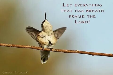 Let everything