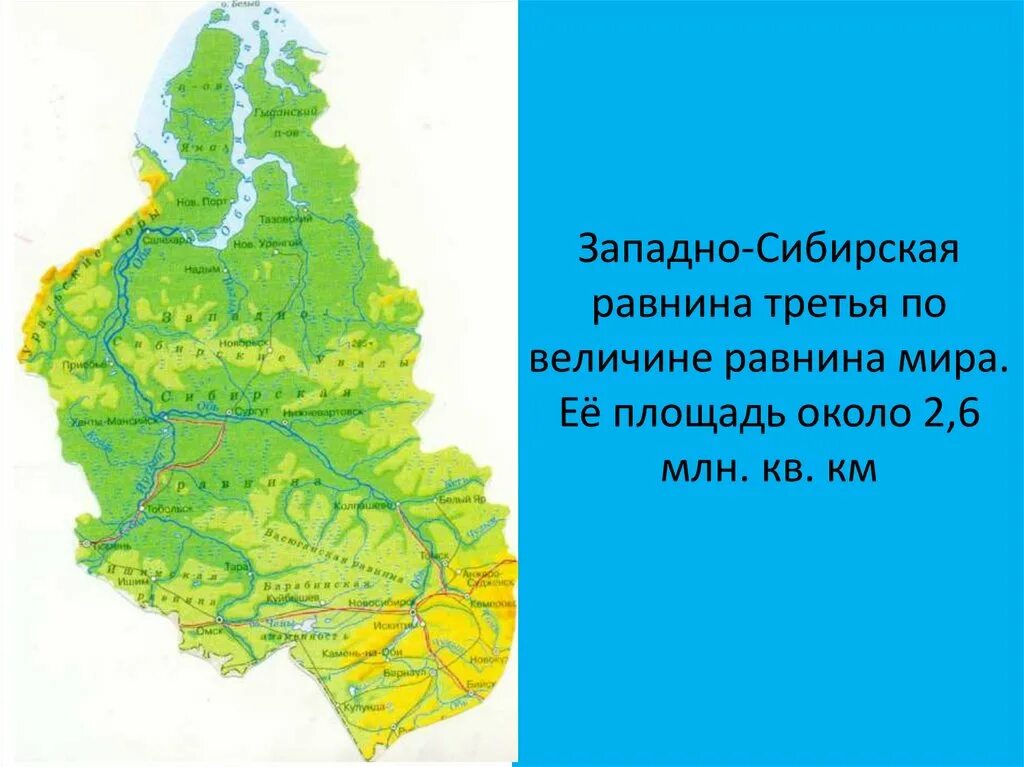 Западно сибирская равнина города находящиеся на равнине. Реки Западно сибирской равнины на карте. Западно-Сибирская низменность. Площадь Западно сибирской равнины. Западно-Сибирская равнина географическое положение на карте.