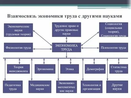 Социально экономические пропорции
