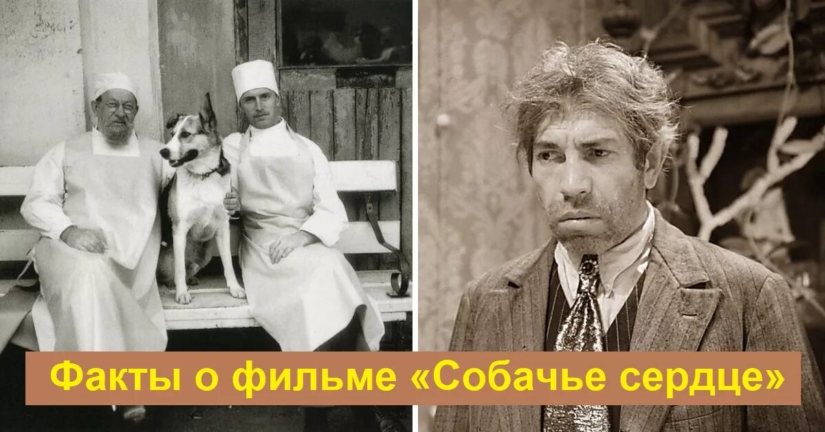 Все персонажи собачье сердце