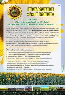 Программа бузулук