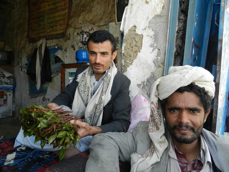 Йемен достопримечательности. Йеменцы. Кат трава жуют йеменцы. Северный и южный йемен. Смешной араб.