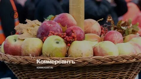 Плодовые воронеж