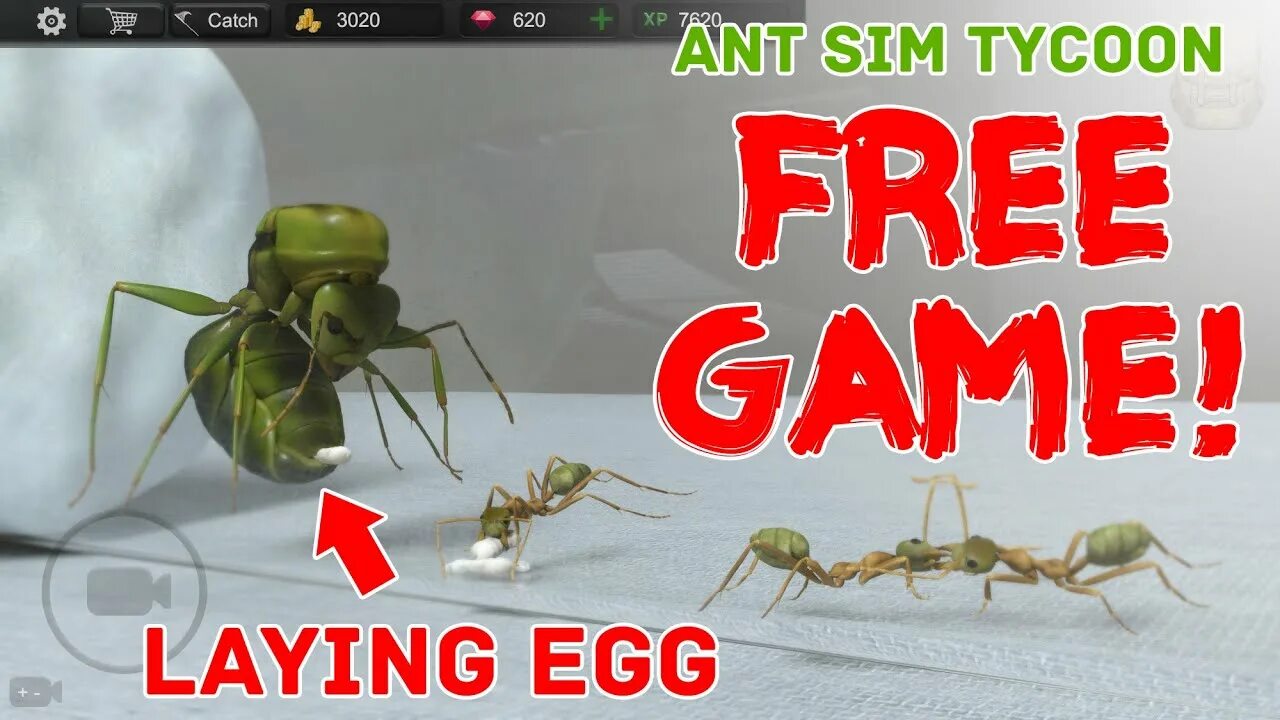 Ant ant tycoon. Ant SIM Tycoon. SIM-Ant-game. Симулятор муравья 3d. Ant SIM Tycoon в злом.