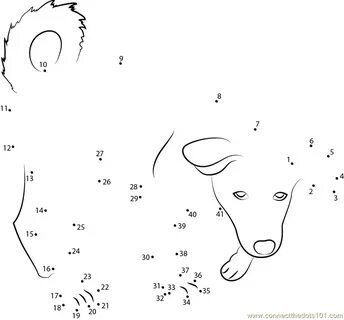 Dogs connecting