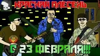Плесень с 23 февраля