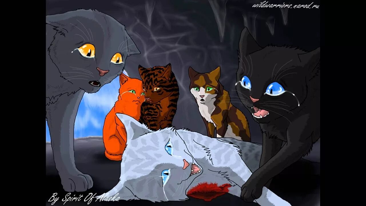 Грач и ласточка. Коты воители ласточка и грачик. коты воители смерть ласточки. коты воители грач и ласточка. коты воители рыжинка и ласточка.