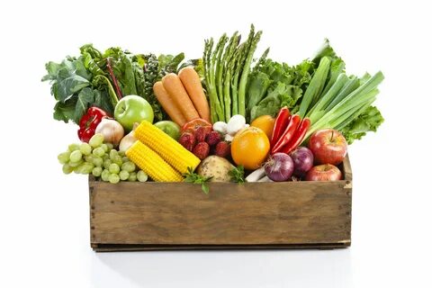 Продукция овощей