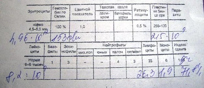 биохимический анализ крови у перепелов. лабораторные исследования псориаза. показатели анализов при псориазе. нормы показателей липидного спектра. показатели иммунограммы в норме.