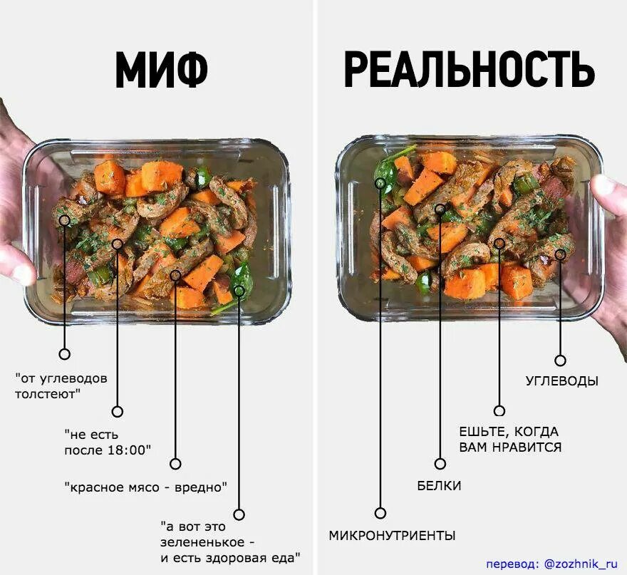 Что можно есть чтобы не толстеть