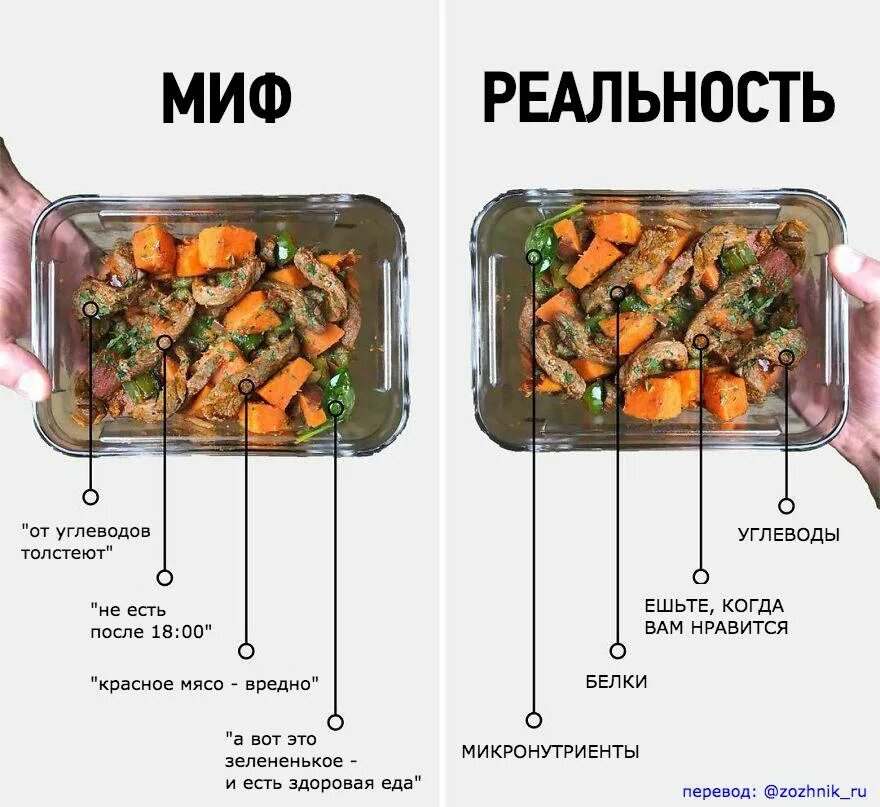 Правда ли что нужно. Мифы о еде. Диеты мифы и реальность. От которых продуктов не толстеют. Продукты от которых поправляются.