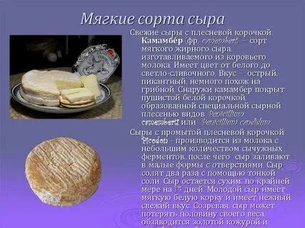 Мягкие сыры названия