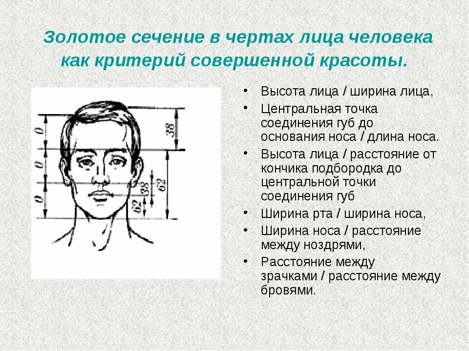 Замер какое лицо. Золотое сечение в пропорциях лица человека. Схема золотого сечения лица. Красивые пропорции лица. Идеальные пропорции лица.