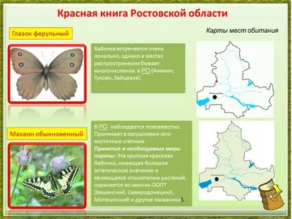 Красная книга ростовской