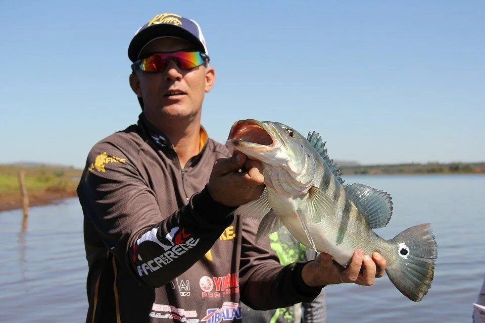 Real big fishing. Большая рыба улов. Фишинг биг фиш. Real big fishing. Биг фиш рыбинск.