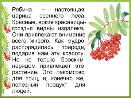 Рябину составить слова