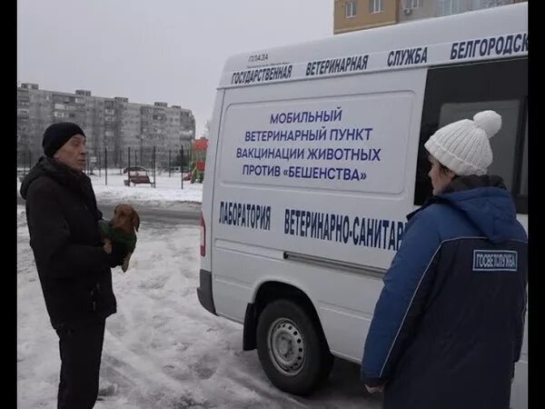 Ветстанция старый оскол. Ветеринарная станция старый оскол. Дубенская црб тульская область. Грайворонская ветстанция. Главный врач станции переливания крови белгород.