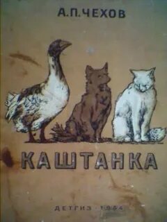 Чему учит каштанка
