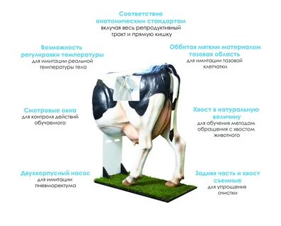 Искусственная корова
