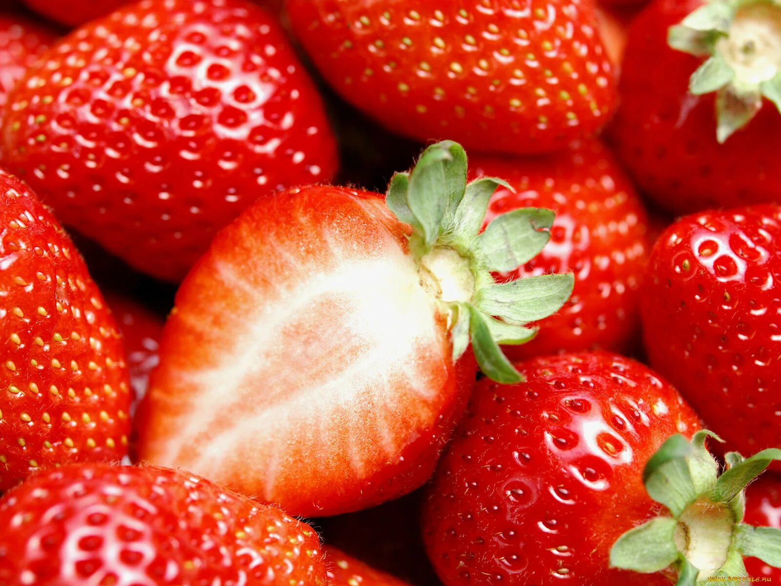 Сочная земляника. Клубника стравберри. клубника блэк свон. сочная клубника. сочные фрукты и ягоды.