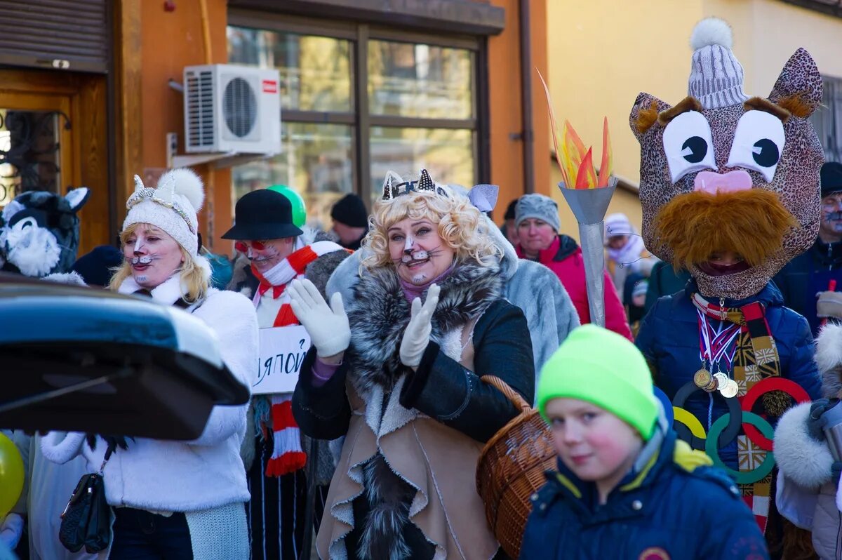 Фестиваль Зеленоградского кота. День рождения Зеленоградского кота в Зеленоградске. День зеленогоградского кота. Праздник котов в Зеленоградске. День зеленоградского кота