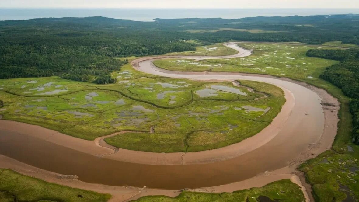 Protected area
