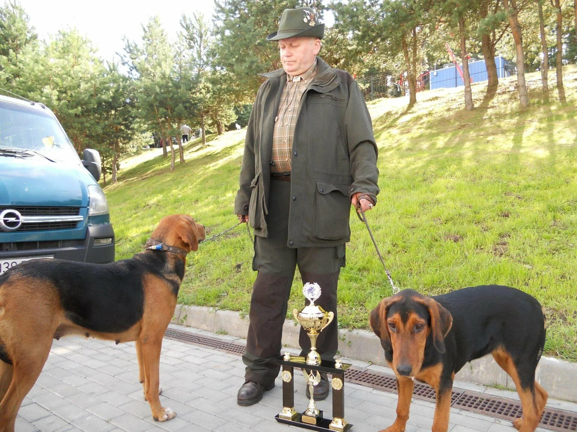 Белорусская гончая гончие собаки. Белорусский гончак. Белорусский гончак. Гончак. Белорусский гончак.