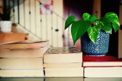 Свободное время книги