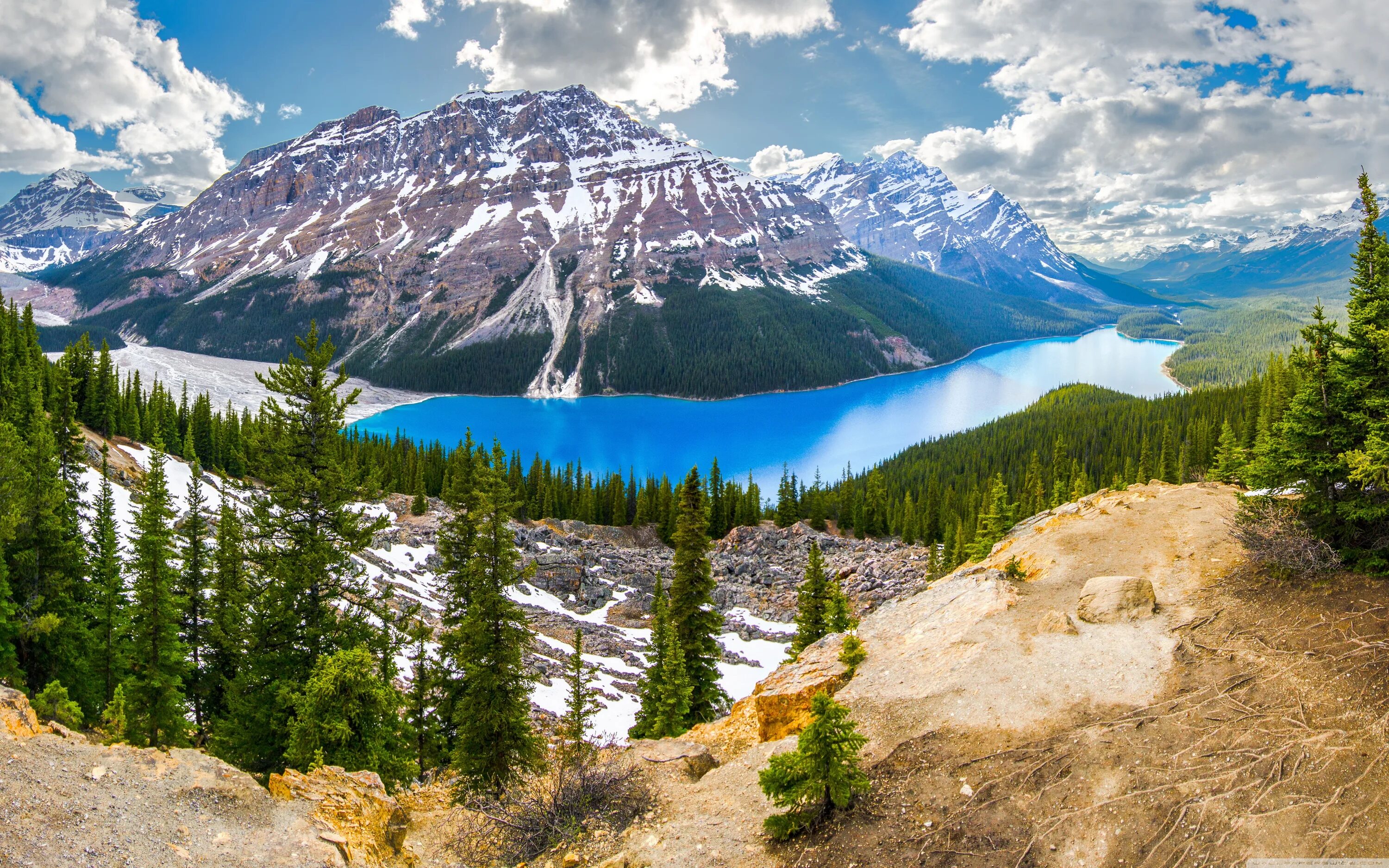 The mountains in are beautiful. Национальный парк Банф, Канада. Озеро Пейто, национальный парк Банф, Канада.. Озеро Банфф в Канаде.