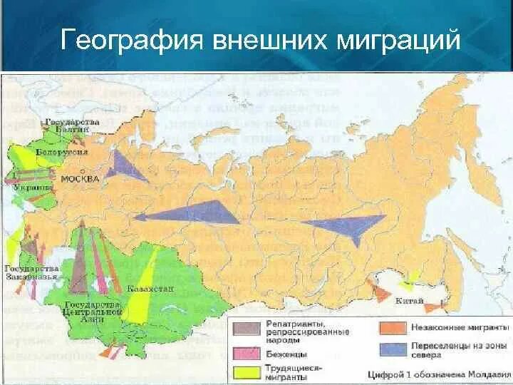 Миграция населения в России география 8 класс карта. Миграция населения в России география 8 класс. Миграционные потоки в России. Схема миграции населения в России. Миграция население 8 класс география