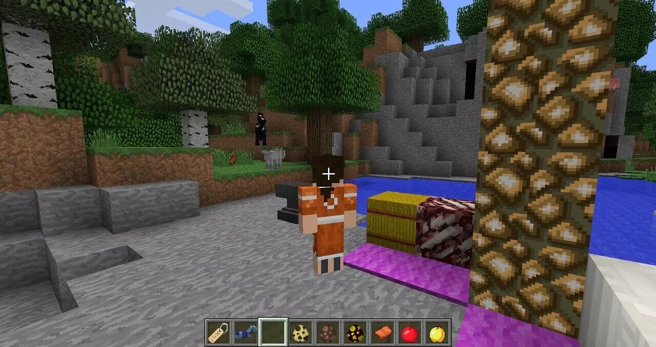 Minecraft 16 net