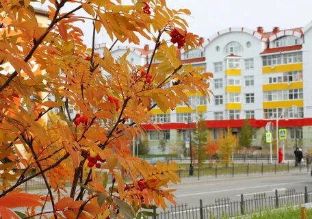 Ноябрьск в октябре