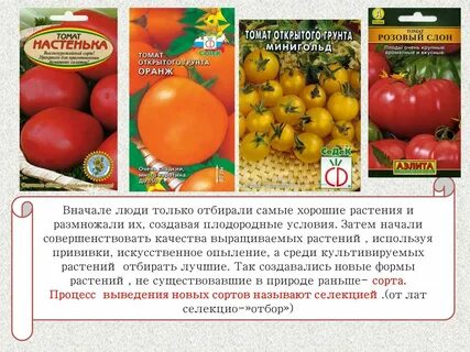 Примеры любых культурных