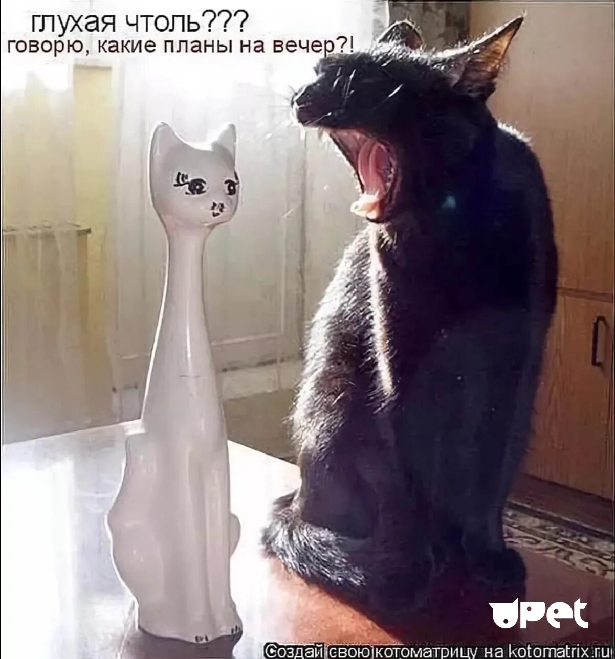 Почему коты молчат
