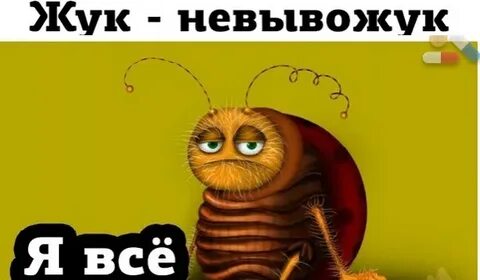 Да это я жук