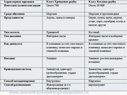 Классы хрящевых рыб таблица