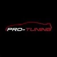 Pro Tuning logo. Detailing America. Pro tuning краснодар