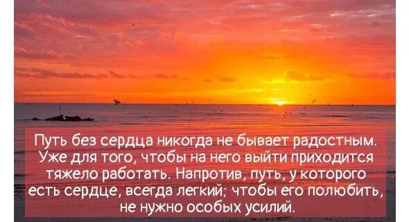 Путь в сердце моем. Путь сердца кастанеда. дон хуан путь сердца. путь сердца кастанеда цитата. путь сердца цитаты.