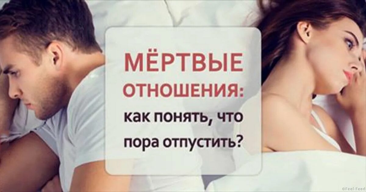 мертвые отношения какие. мёртвые отношения | как понять, что лошадь сдохла?. рвать живые отношения и удерживать мертвые. мертвые отношения. цитата про мертвую лошадь.