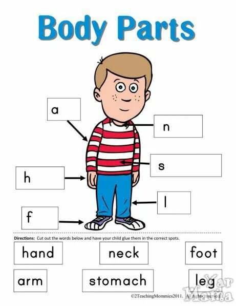 Part of the body 2. Parts of the body презентация. части тела для детей. Part of the body 2. Bodyparts карточки для детей.